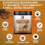 kf-S0d9c9bbfc0aa4526b718b514b45dcf33W-Lion-s-Mane-Mushroom-Coffee-Supplement-with-Reishi-Cordyceps-Turkey-Tail-Energy-Mental-Clarity-Focus-Brain